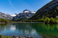 Lac de Derborance (1), Zwitserland van Ingrid Aanen thumbnail