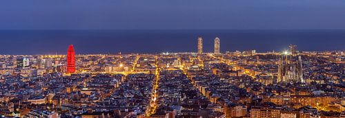 Panorama nocturne de la ligne d'horizon de Barcelone