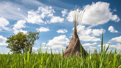 Traditionele rietsnijders schoven in het landschap