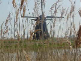 Zicht op molen (1740) von Koos Iperen