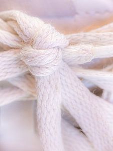 Schoenveter met knoop (textuur)