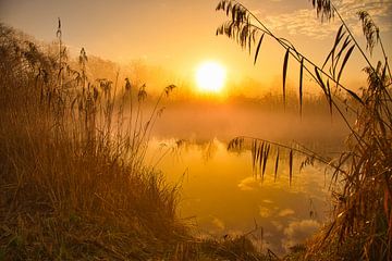 Zonsopgang in de Grote Ried van Tanja Voigt