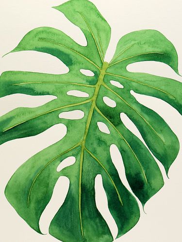 Philodendron monstera leaf no 1 of 3 (watercolor painting flowers green houseplant nature jungle)