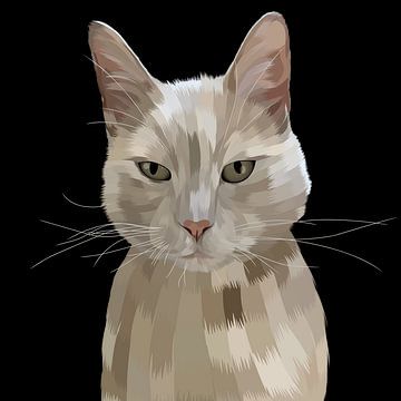white cat by mshel tyan
