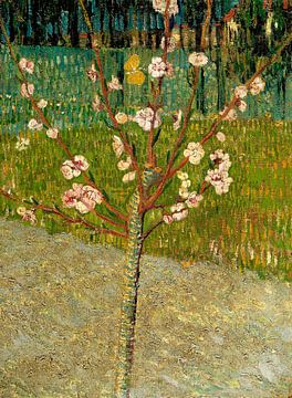 Vincent van Gogh. Almond tree in blossom