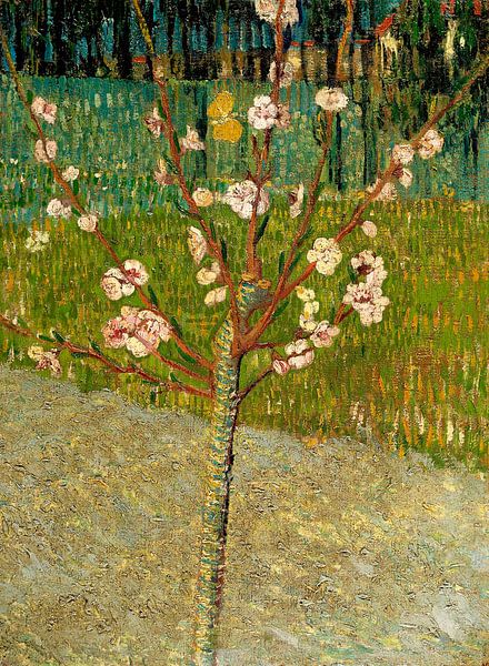 Vincent van Gogh. Amandelboom in bloesem van 1000 Schilderijen