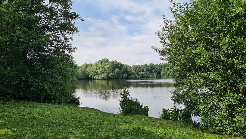 Nature in Monnickendam by Michael de Boer