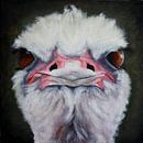 Ostrich by Andrea Meyer thumbnail