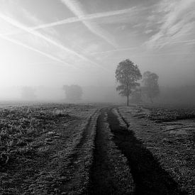 Mysterious misty morning. von Vincent van Wijk