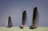 Skutsje regatta sailing. by Jan Brons thumbnail