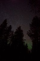 Starry sky