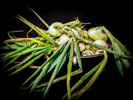 Fresh onions by Miriam Meijer, en pleine campagne.....