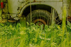 Verlassener Transporter im Grün – rostiger Radkasten & Reifen | Urban‑Nature Wandkunst