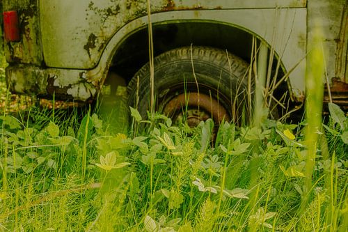 Camionnette abandonnée dans la verdure – passage de roue rouillé & pneu | art mural nature urbaine sur Brave Toaster Photos