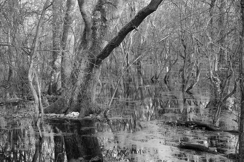 Kalter Wintertag von Madeltijntje