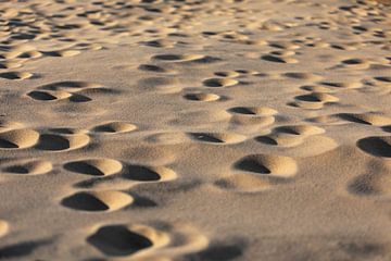 Ronde putjes in het zand