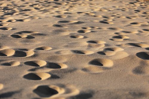 Ronde putjes in het zand