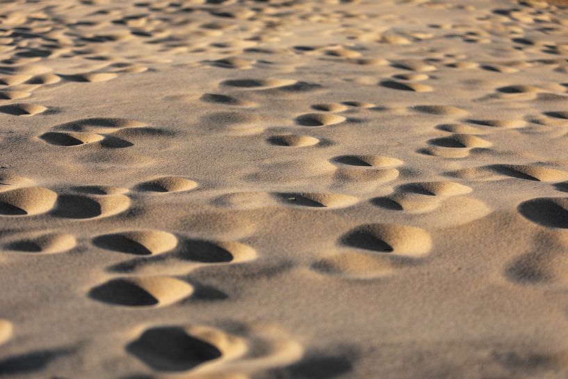 Round holes in the sand by Percy's fotografie