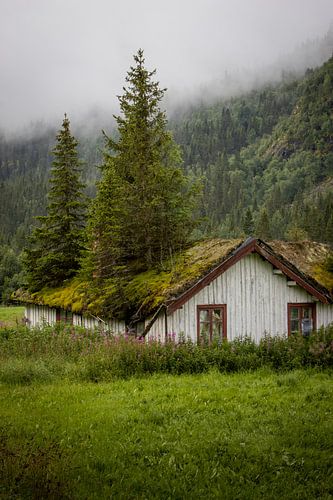 cabane abandonnée