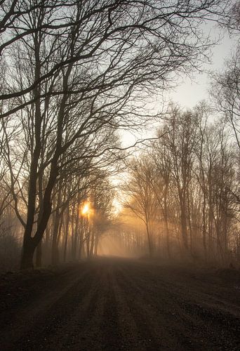 Beginning of the day