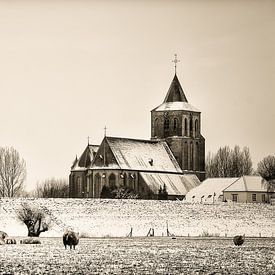 Snowy St. Martin's Church in Oud-Zevenaar with sheep in the foreground by LiemersLandschap