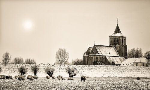 Verschneite St. Martinskirche in Oud-Zevenaar mit Schafen im Vordergrund