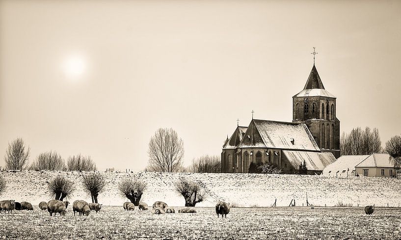Snowy St. Martin's Church in Oud-Zevenaar with sheep in the foreground by LiemersLandschap