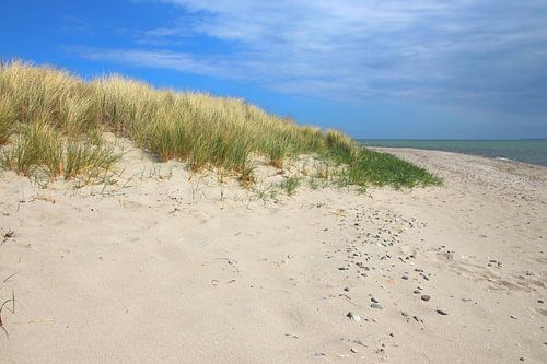 Dünenlandschaft im Aptil