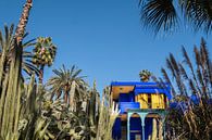 Yves Saint Laurent's garden, Jardin Majorelle, in Marrakech, Morocco. by W Machiels thumbnail