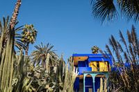 Yves Saint Laurent's garden, Jardin Majorelle, in Marrakech, Morocco.