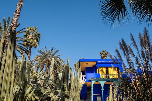 Yves Saint Laurent's garden, Jardin Majorelle, in Marrakech, Morocco. by W Machiels