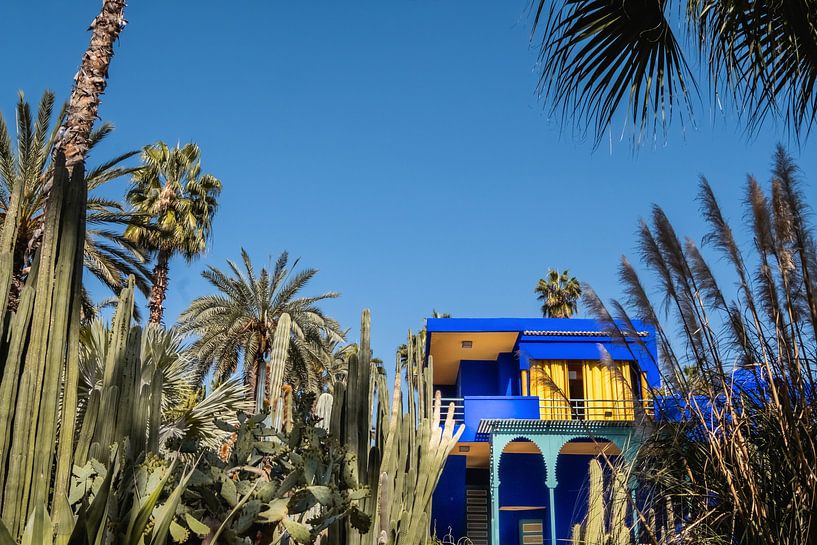 Yves Saint Laurent's garden, Jardin Majorelle, in Marrakech, Morocco. by W Machiels