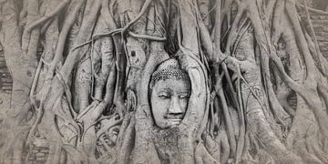 Buddha tree by Walter G. Allgöwer