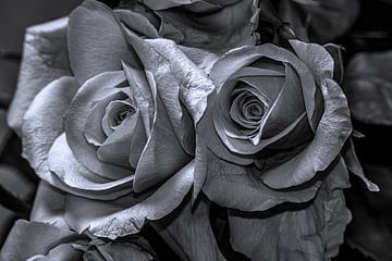 Zwart-wit : Roze liefde van Photoart-Naegele