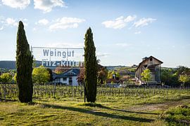 Gradierbau (Salinen) im Kurpark von Bad Dürkheim mit Blick auf die Michaelskapelle von Fabian Bracht