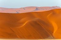 Sand dunes at Sossusvlei (Namibia)