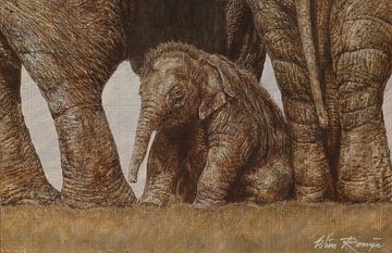 Asian elephants by Wim Romijn