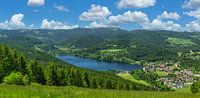 A summer day in the Upper Black Forest by Markus Lange thumbnail