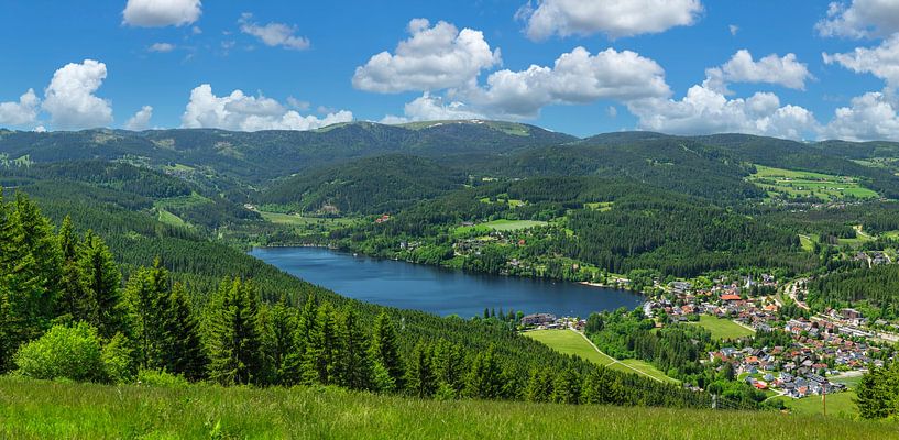 A summer day in the Upper Black Forest by Markus Lange