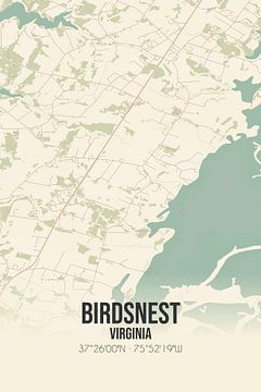 Vintage landkaart van Birdsnest (Virginia), USA. van MijnStadsPoster