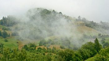Mist in de bergen van Transylvanie