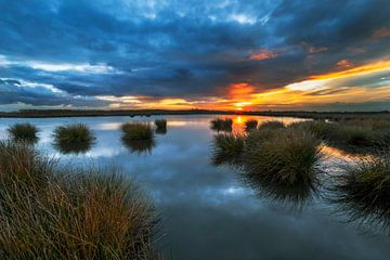 Lake Sunrise by Peter Bolman