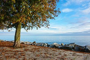 Promenade im Herbst in Sassnitz auf der Insel Rügen