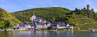 Panorama Beilstein, Rhineland-Palatinate, Germany by Henk Meijer Photography thumbnail