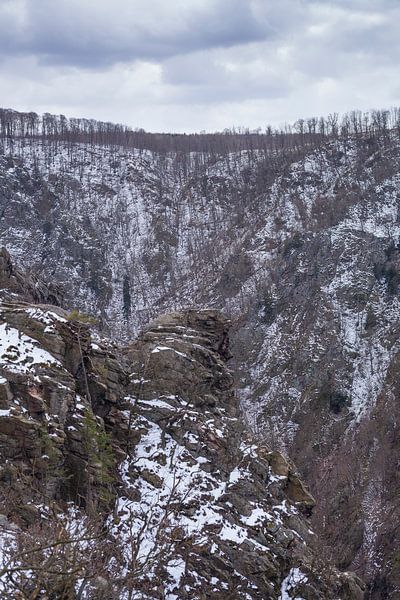 Bodetal, Thale, Harz, Saxe-Anhalt, Allemagne par Torsten Krüger