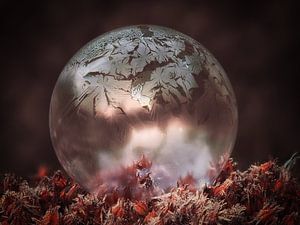 Bulle congelée n°1