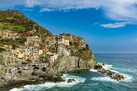 Panorama van Manarola en de Zee Cinque Terre