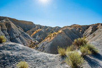 Prachtig landschap in de Tabernas woestijn van Joke Van Eeghem