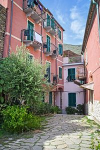 Kleurrijk straatje in Vernazza, Cinque Terre von Kramers Photo