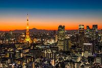 TOKYO 03